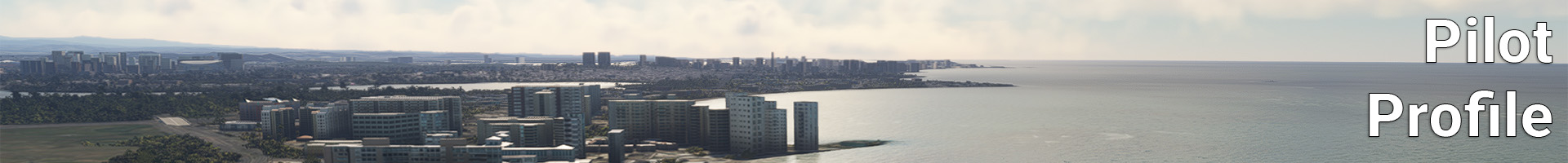 Banner / Image