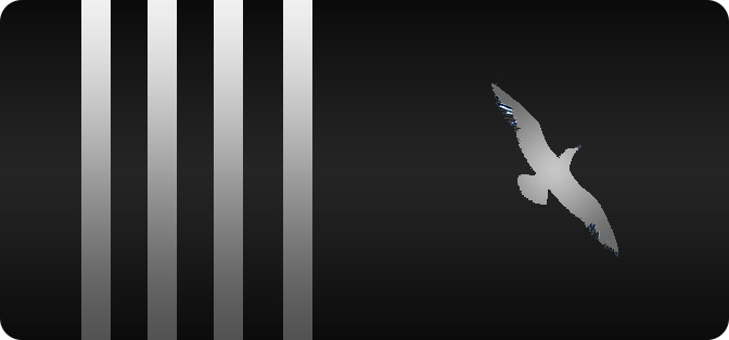 Captain