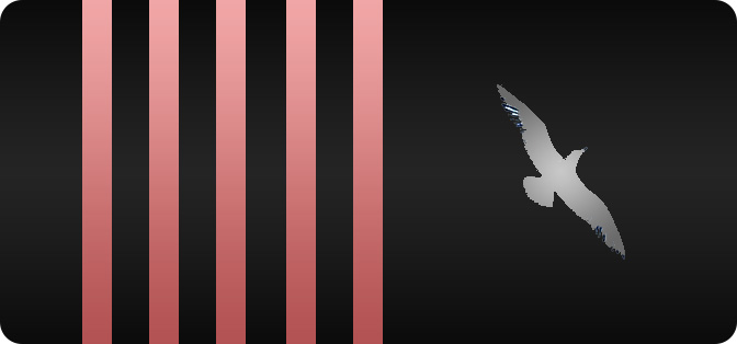 Senior Chief Pilot