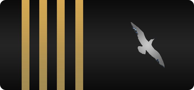 Senior Captain